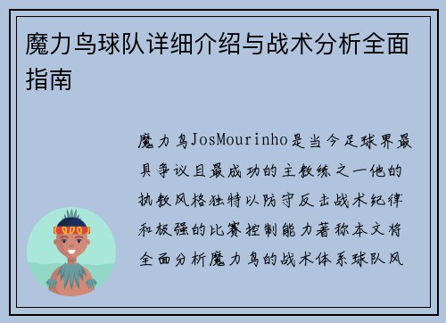 魔力鸟球队详细介绍与战术分析全面指南
